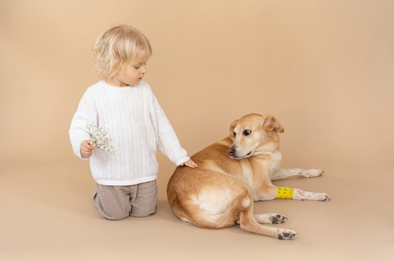 toddler kid playing with a dog