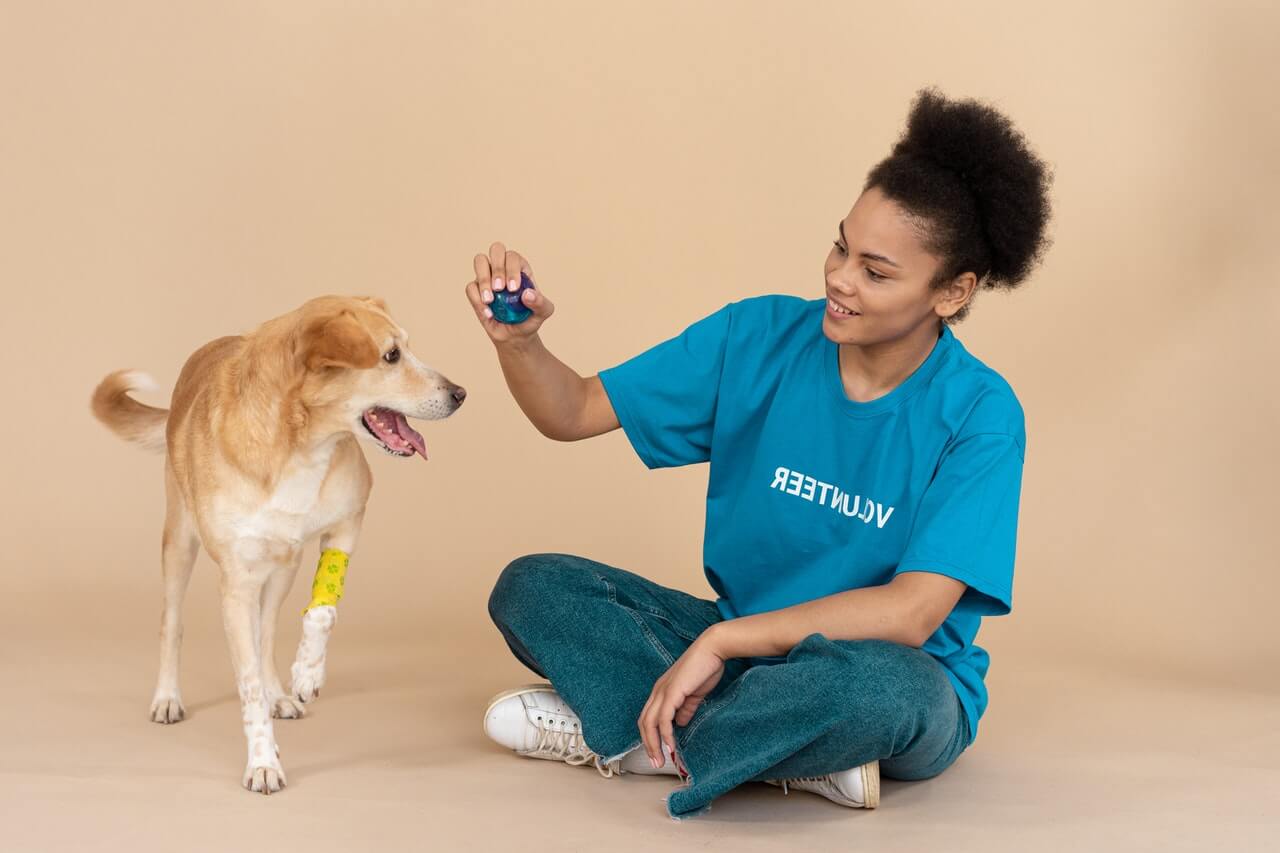 girl playing with a dog